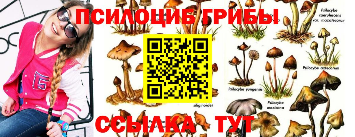 Нефтекамск  Галлюциногенные грибы мухоморы  Вход с VPN 